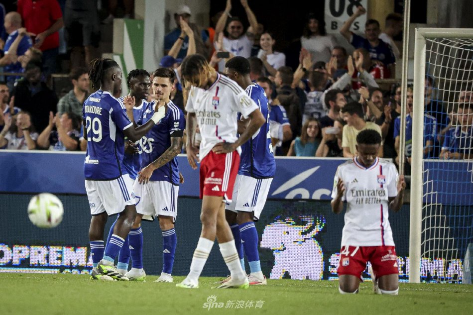 法国女排的 法国女排的